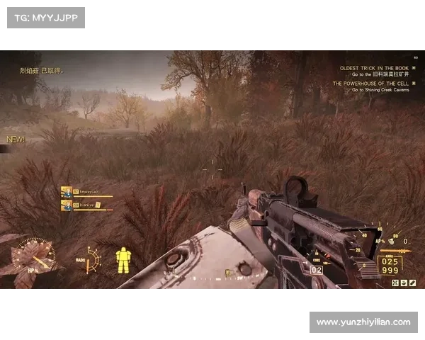 辐射76：武器改造大师的秘籍